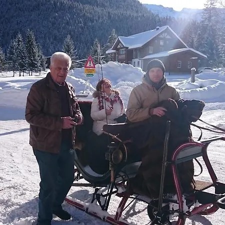 Appartementhaus Tristenau Апартаменты Пертизау