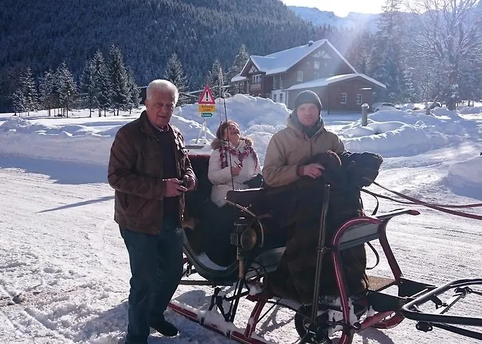 Appartementhaus Tristenau Lejlighed Pertisau